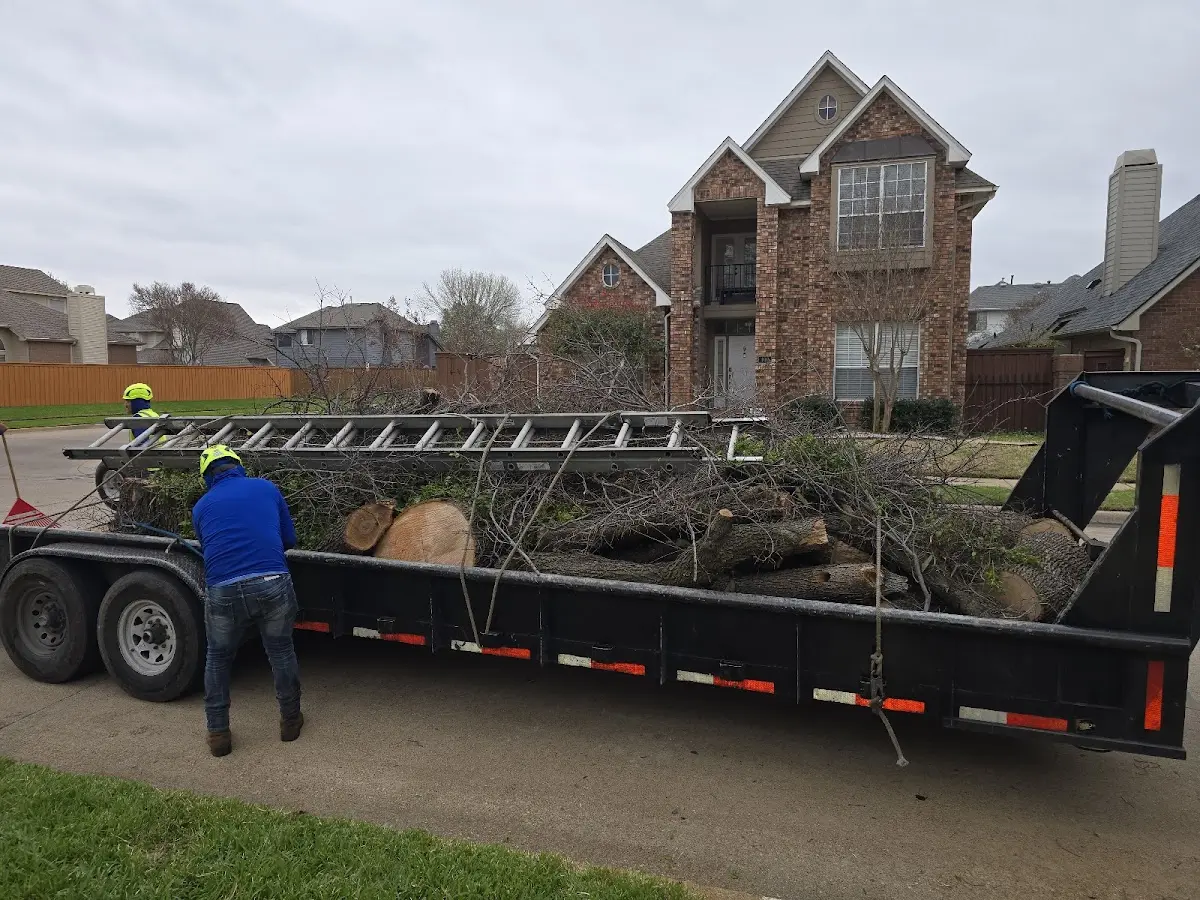 Expert Tree Removal with proper safety equipment in New Albany
